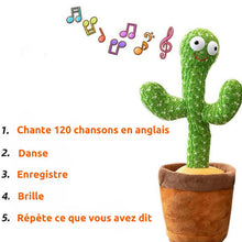 Charger l&#39;image dans la galerie, TuniCacti : Cactus Dansant
